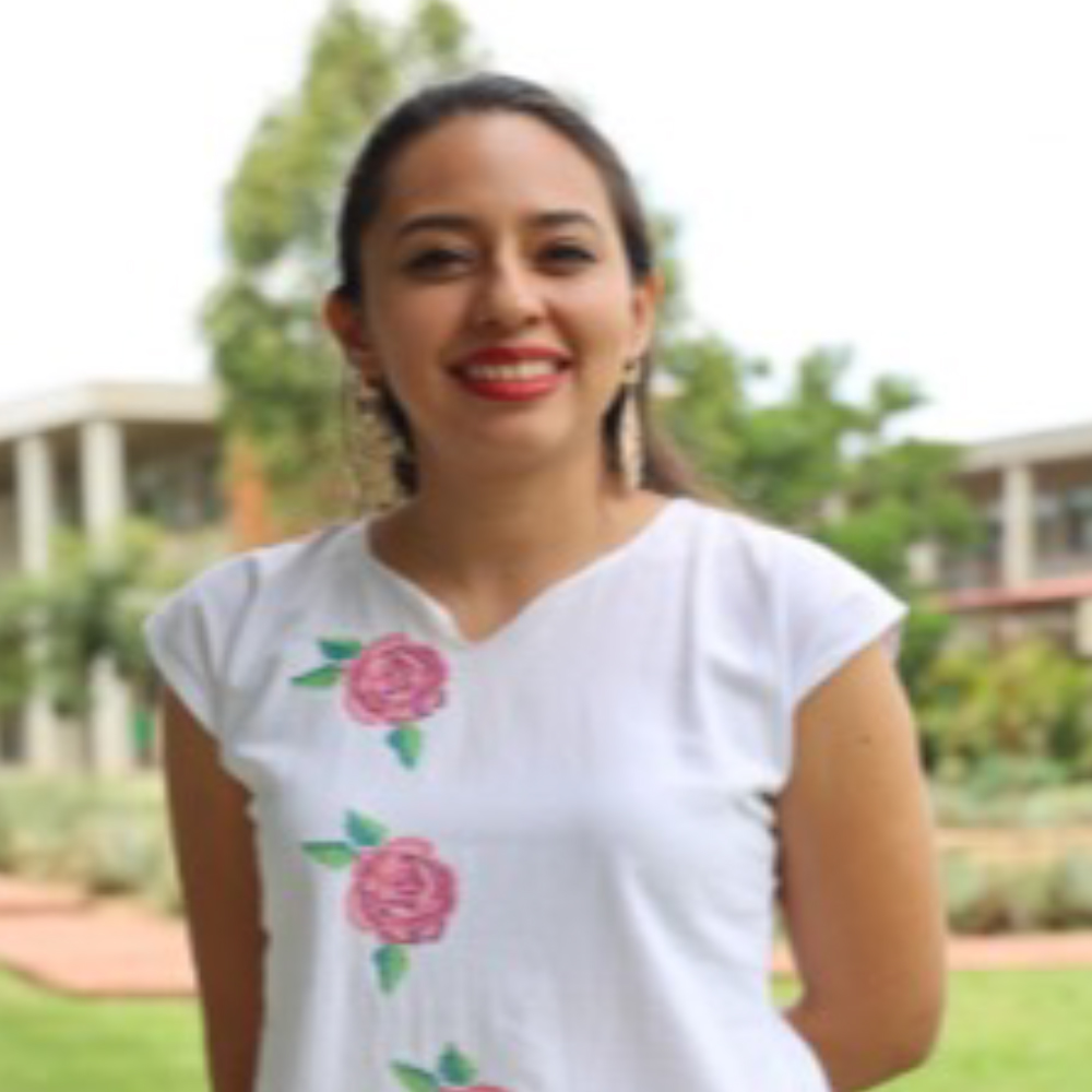 LN. Marlen del Carmen Velasco Contreras